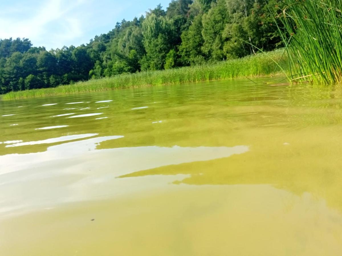 Smocze Ranczo 2 Villa Osno Lubuskie Bagian luar foto